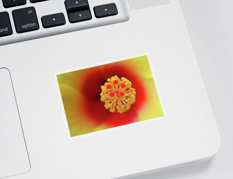 Abstract Sticker featuring the photograph Hibiscus Flower by Juergen Roth