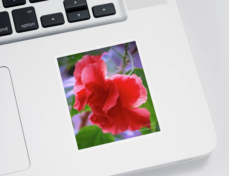 Hibiscus Sticker featuring the photograph Hibiscus In Art by Jasna Dragun