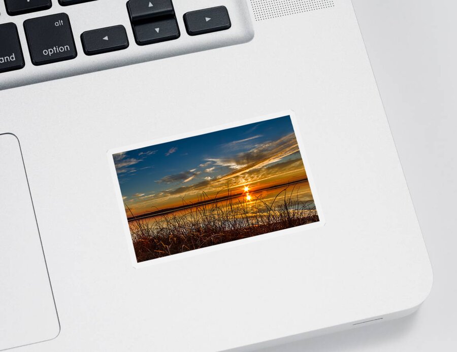 Higgins Lake Sticker featuring the photograph Higgins Lake sunset with saw grass by Joe Holley