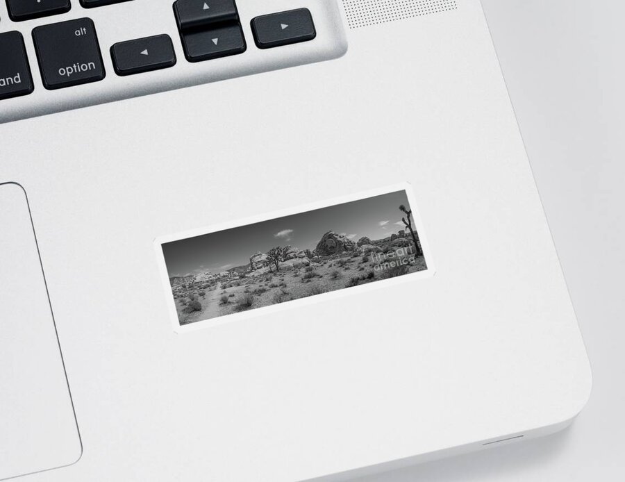 Joshua Tree National Park Sticker featuring the photograph Hiking In Joshua Tree Pano BW by Michael Ver Sprill