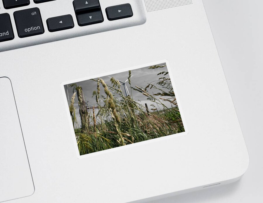 Landscape Sticker featuring the photograph Hope? by Dylan Punke