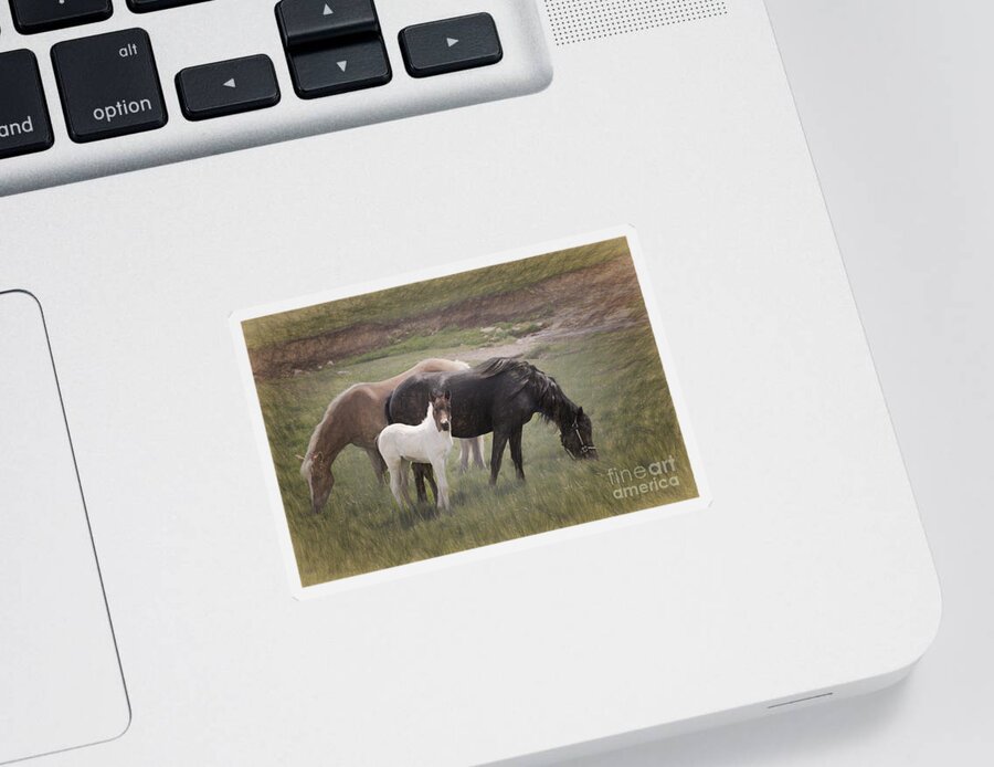 Horse Sticker featuring the photograph Horses And Colt by Sharon McConnell