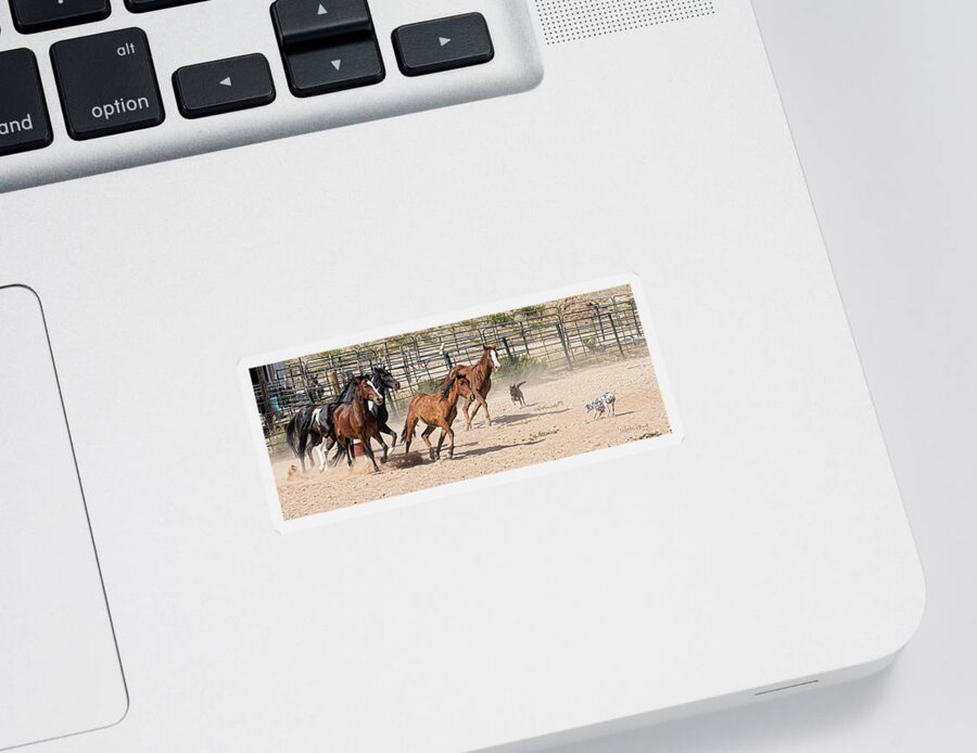 Coffee Mugs Sticker featuring the photograph Horses Unlimited #3a by Walter Herrit