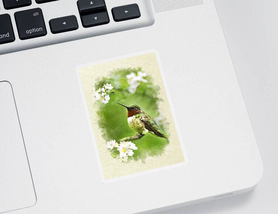 Thank You Sticker featuring the mixed media Hummingbird Flora and Fauna Blank Note Card by Christina Rollo
