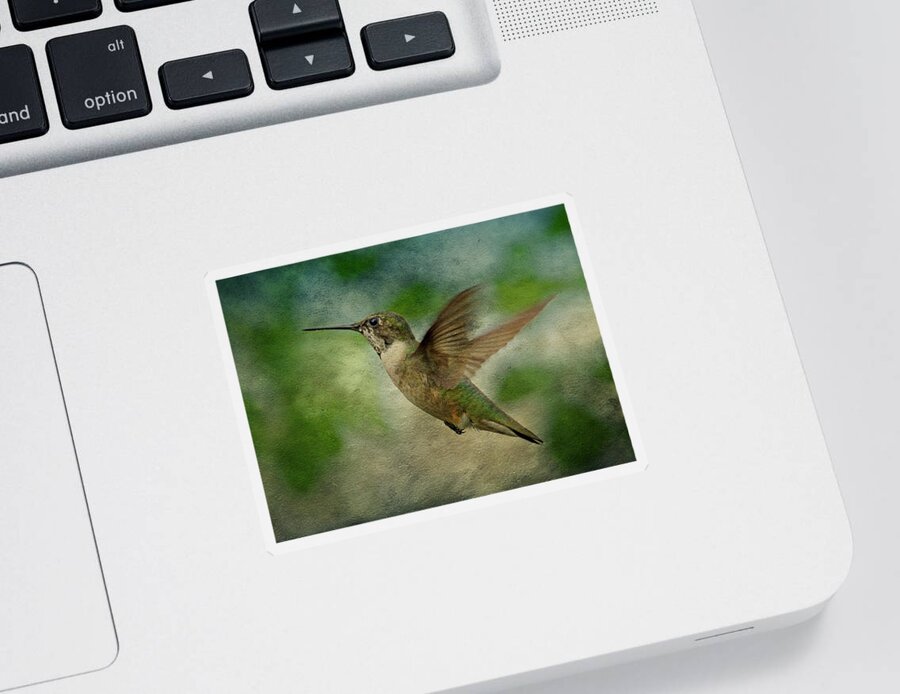 Hummingbird Sticker featuring the photograph Hummingbird in Flight II by Sandy Keeton