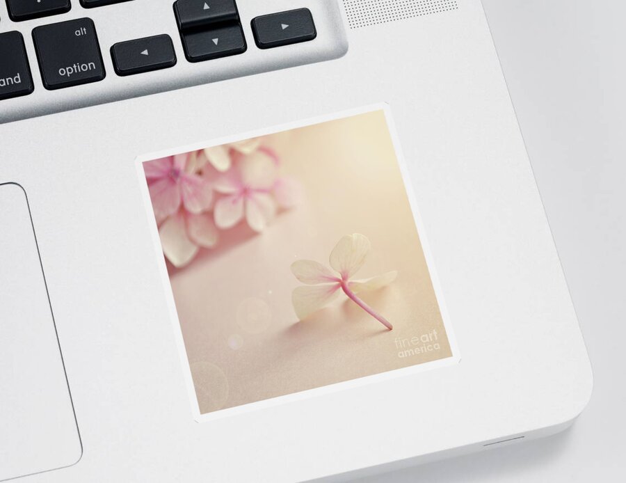 Pink Sticker featuring the photograph Hydrangea Flower by Lyn Randle