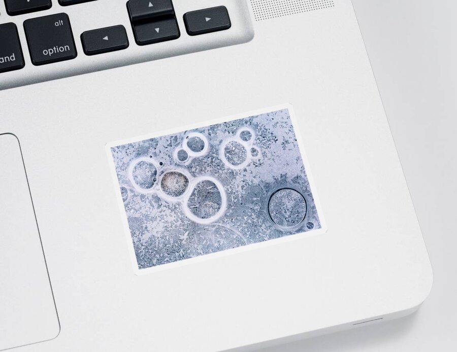 Ice Sticker featuring the photograph Ice pattern five by Davorin Mance