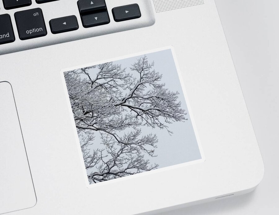 Ice Sticker featuring the photograph Icey Winter Branch by Vic Ritchey