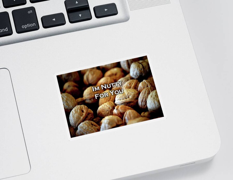 Walnuts Sticker featuring the photograph Im Nutty For You Card by Lesa Fine