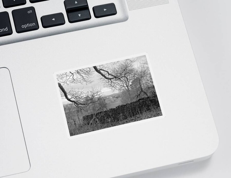 Bare Tree Sticker featuring the photograph In December. by Elena Perelman