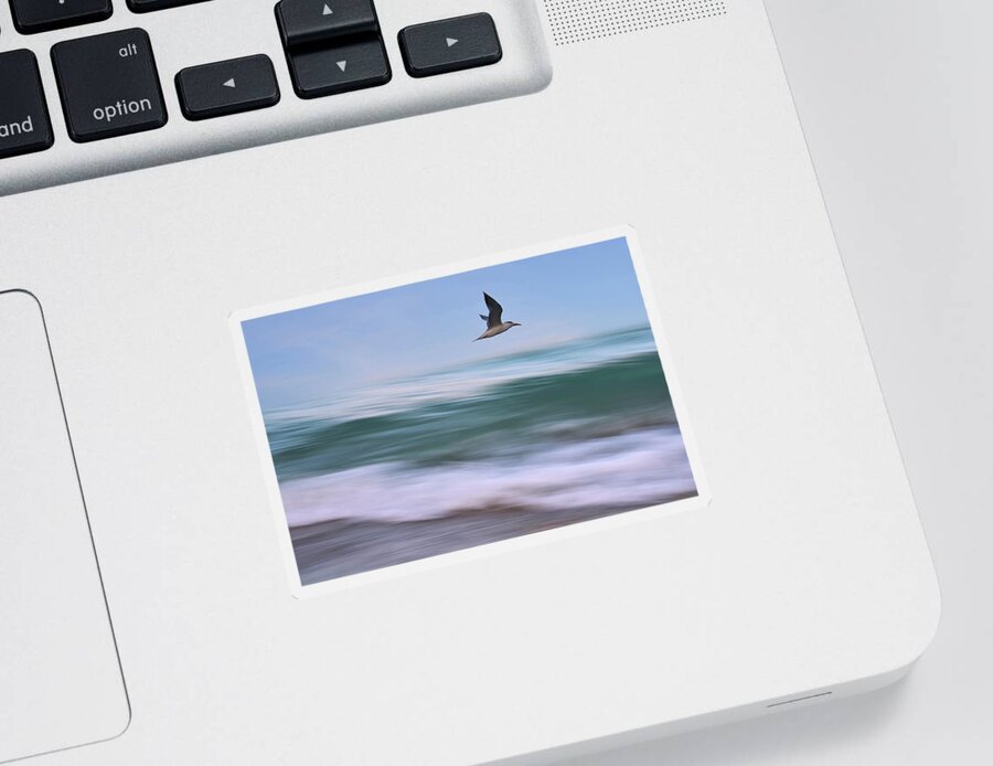 Ocean Sticker featuring the photograph In Flight by Laura Fasulo