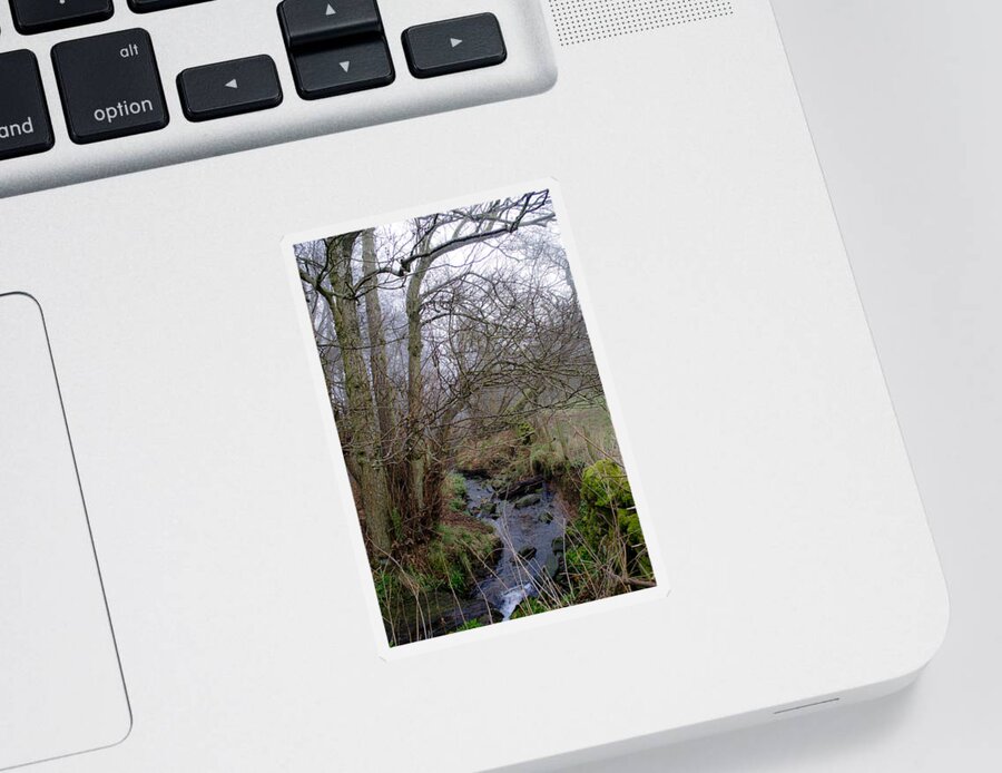 Stream Sticker featuring the photograph In the Forest. by Elena Perelman