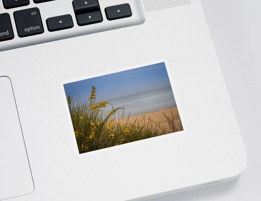 Beach Sticker featuring the photograph Indiana Dunes on Lake Michigan by Ron Pate