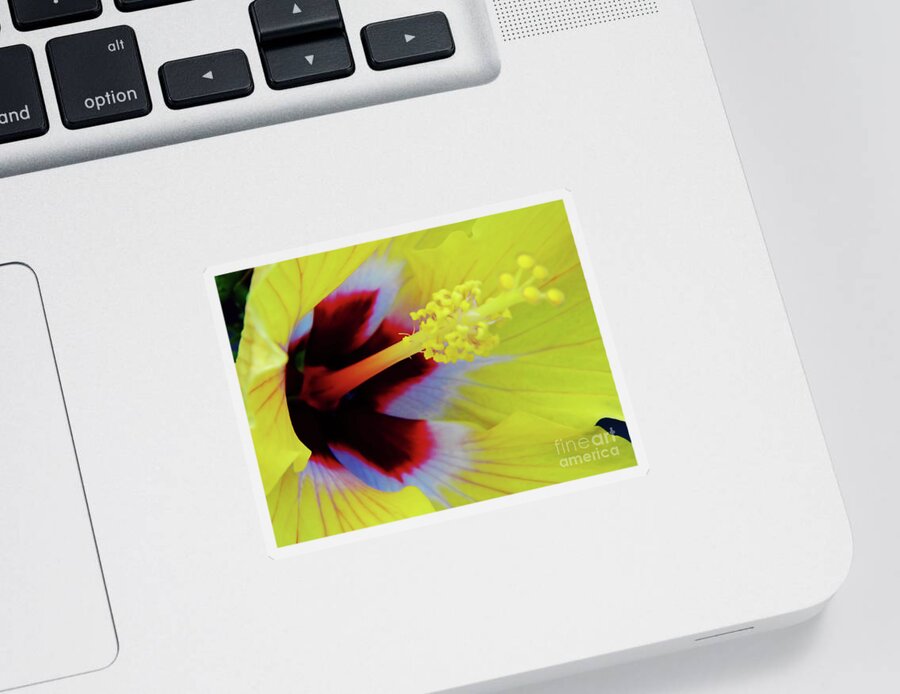 Hibiscus Sticker featuring the photograph Inside A Yellow Beauty by D Hackett