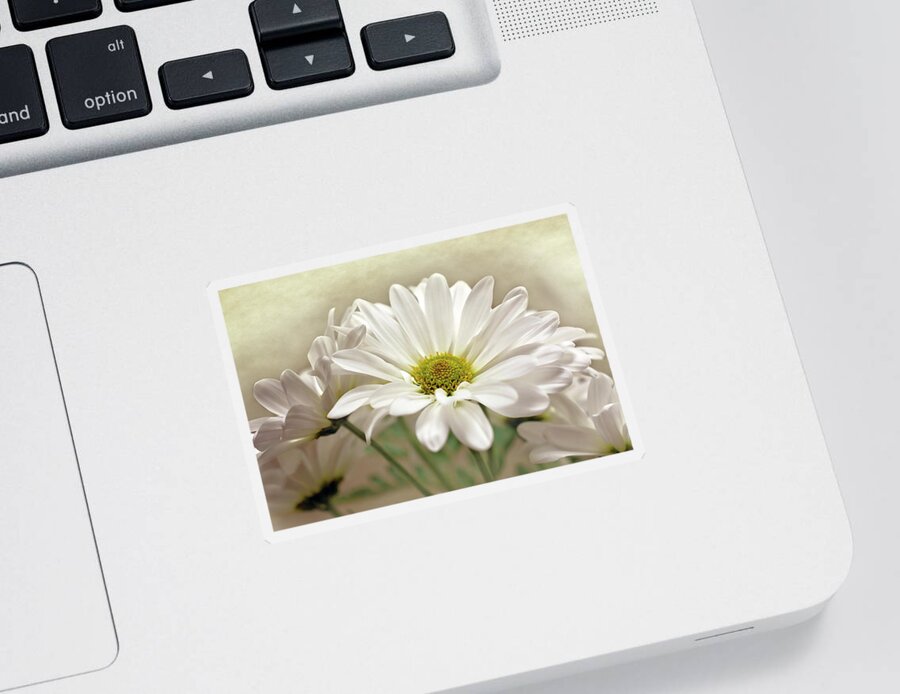 Daisies In Light Photo Sticker featuring the photograph Inspired Daisies Print by Gwen Gibson