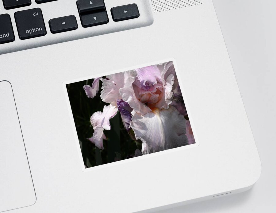 Flower Sticker featuring the photograph Iris Lace by Steve Karol
