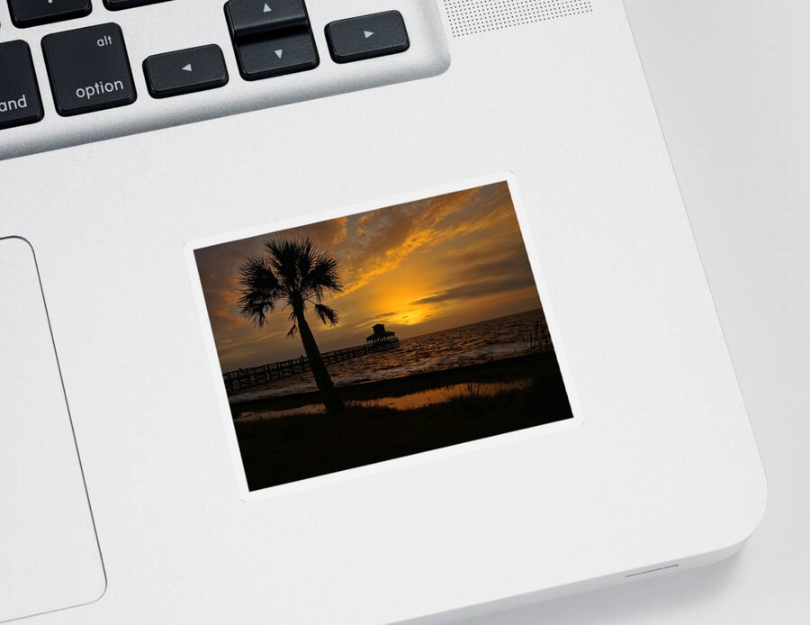 Pleasure Island Sticker featuring the photograph Island Sunrise by Judy Vincent