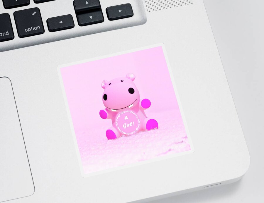 New Baby Sticker featuring the photograph It's A Girl Hippo by Terri Waters