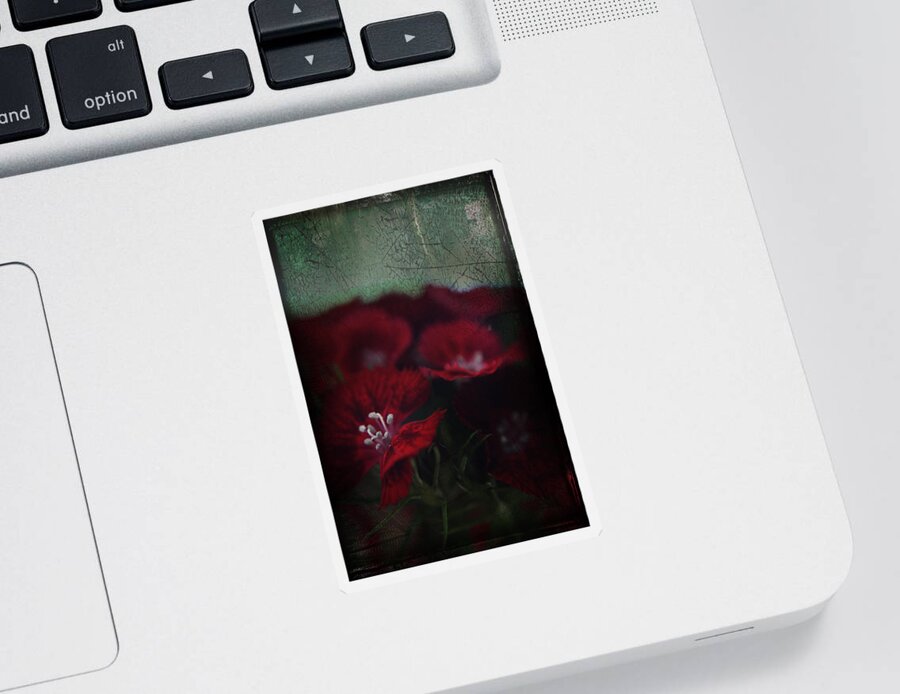 Flowers Sticker featuring the photograph It's a Heartache by Laurie Search