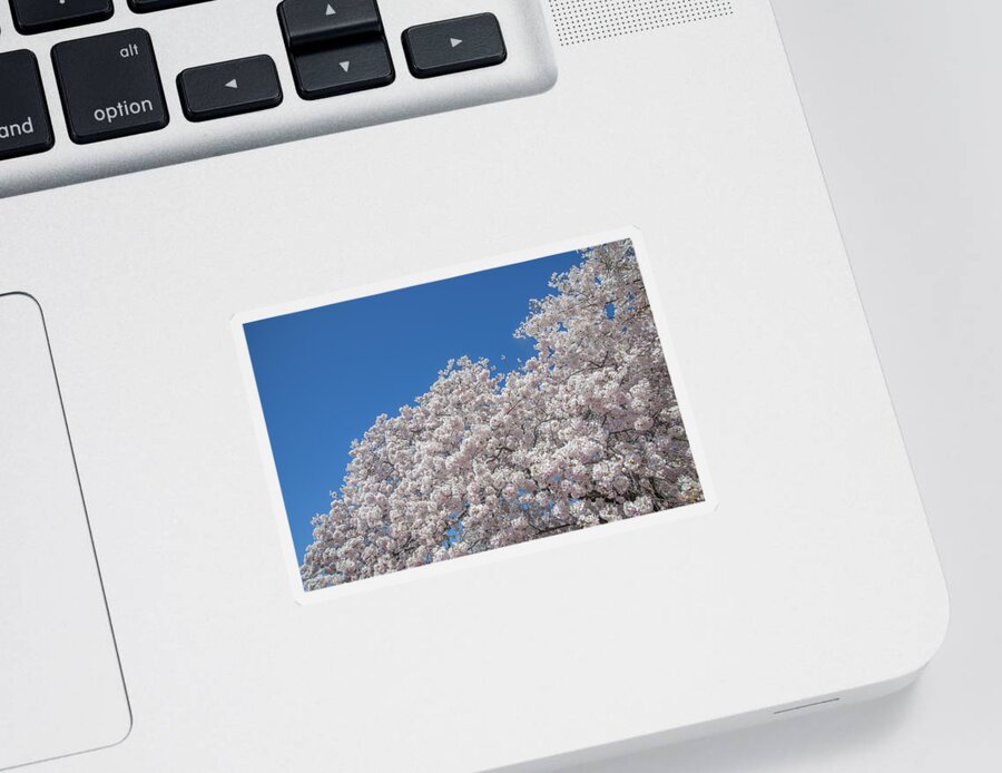 Scenic Sticker featuring the photograph Japanese Cherry Tree Blossoms on the Tidal Basin DS0081 by Gerry Gantt