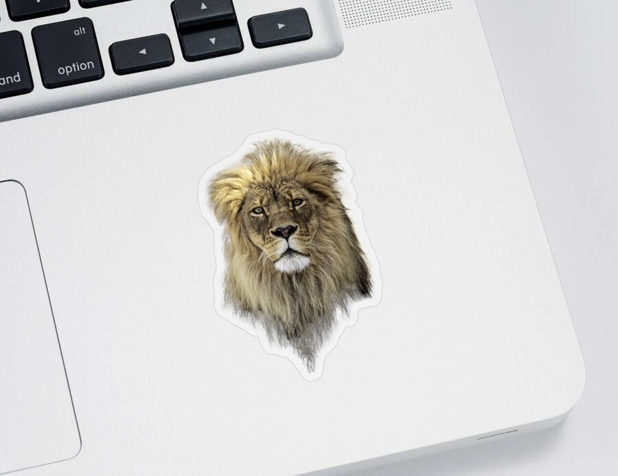 Lion Sticker featuring the photograph Joshua t-shirt color by Everet Regal