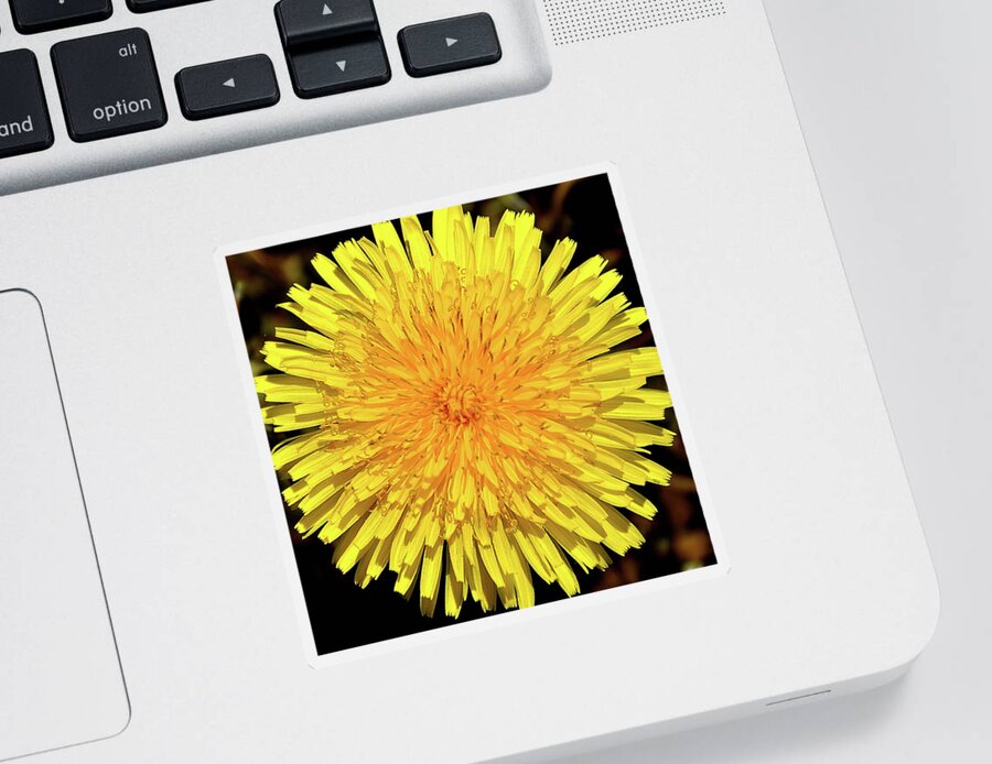 Dandelion Sticker featuring the photograph Just A Weed by Mark Fuller