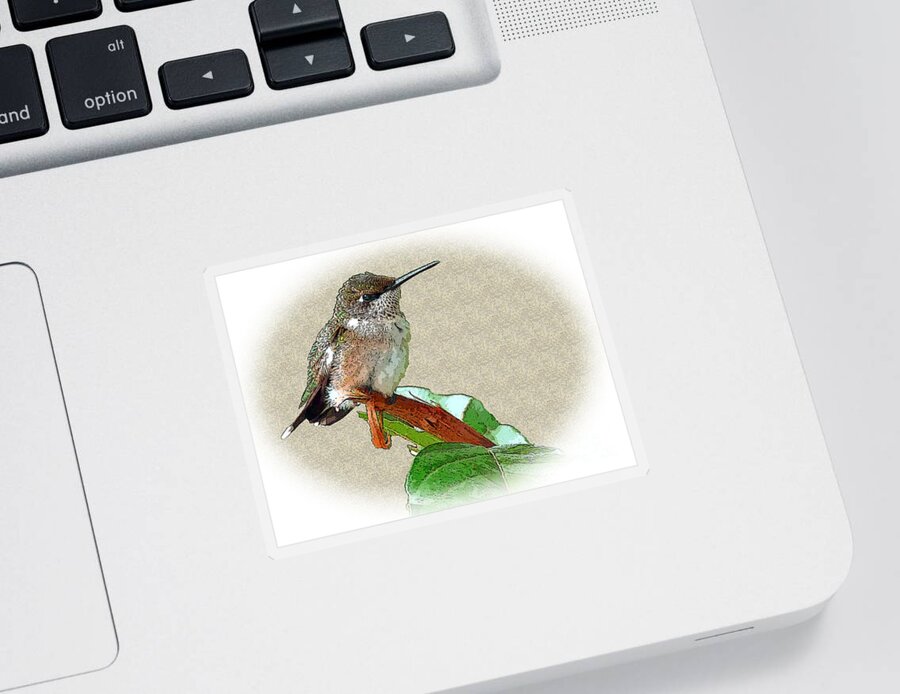 Hummingbird Sticker featuring the photograph Just Hangin' Out by Sue Melvin