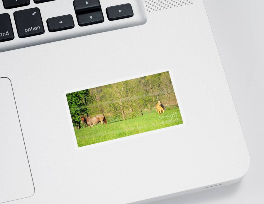 Horses Sticker featuring the photograph Knee deep in grass by Merle Grenz