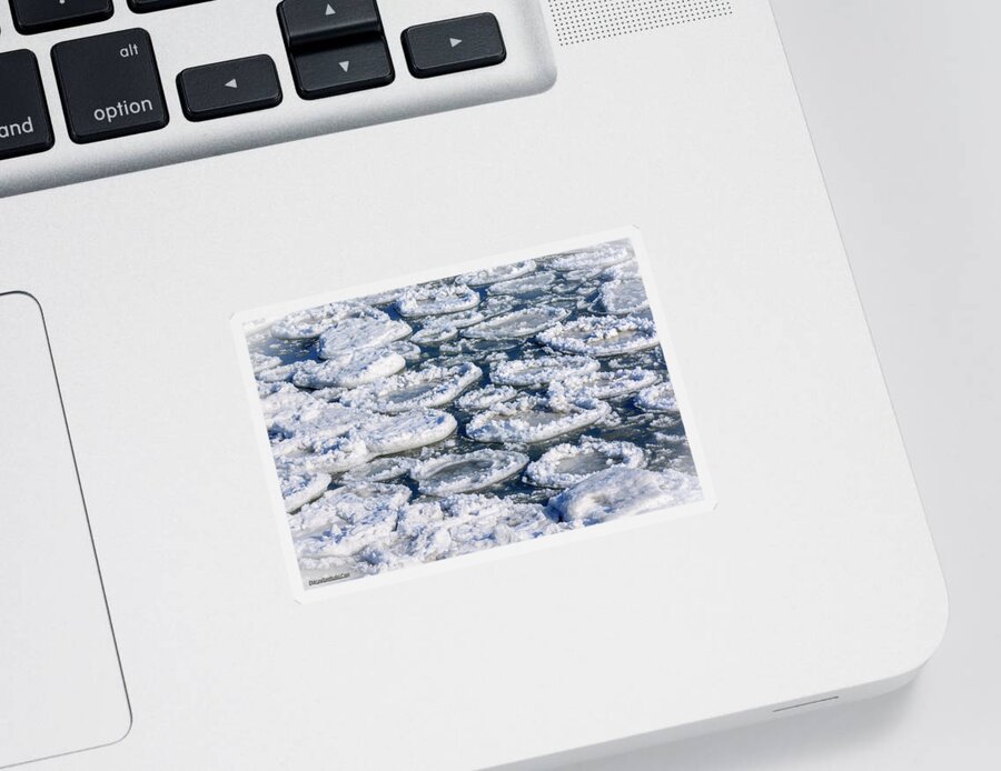 Landscapes Sticker featuring the photograph Lake Huron Ice Pads by LeeAnn McLaneGoetz McLaneGoetzStudioLLCcom