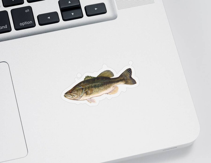 Largemouth Bass Sticker featuring the mixed media Largemouth Bass by Movie Poster Prints