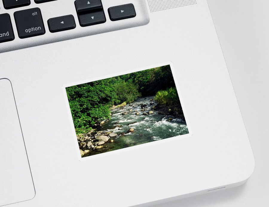 Gentle Rapids Sticker featuring the photograph Layou River Rapids by Sally Weigand