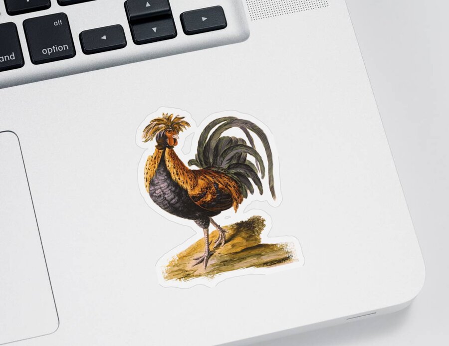 Le Coq Rooster T Shirt Design Sticker featuring the digital art Le Coq Rooster T Shirt Design by Bellesouth Studio