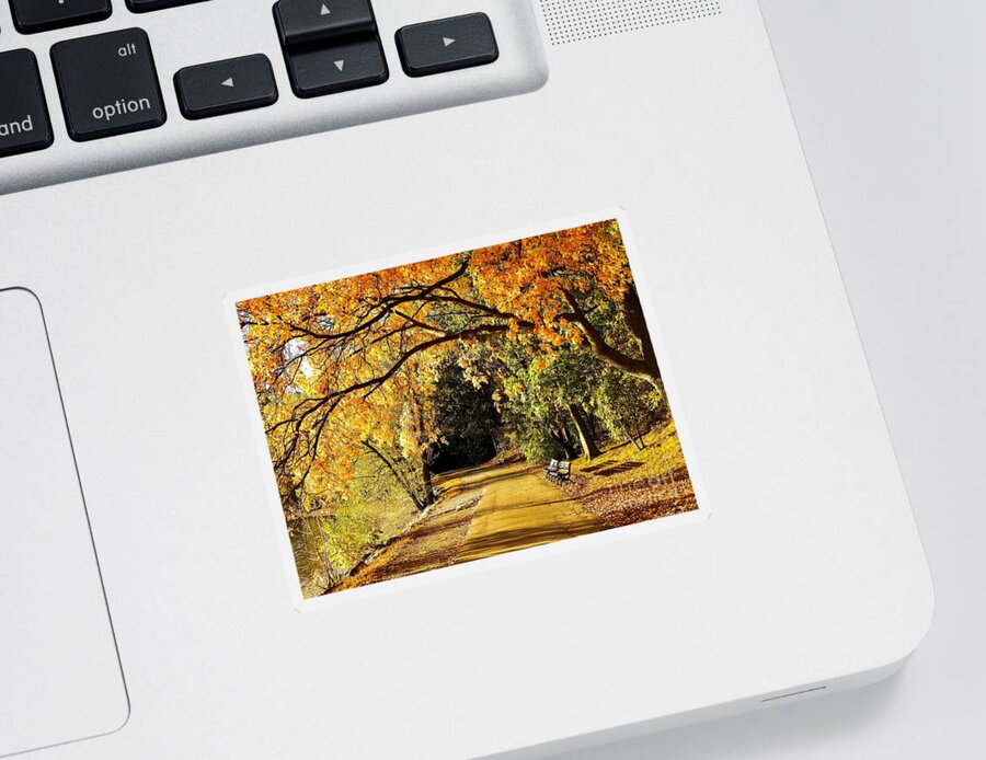 Path Sticker featuring the photograph Leafy Arch Over Path by Beth Myer Photography
