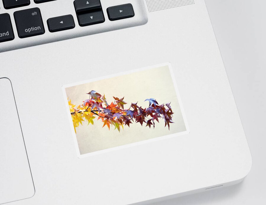Scenic Sticker featuring the photograph Leaves of Many Colors by AJ Schibig