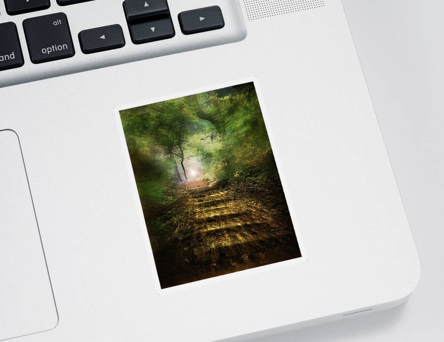 Landscape Sticker featuring the photograph Lightfall by John Anderson