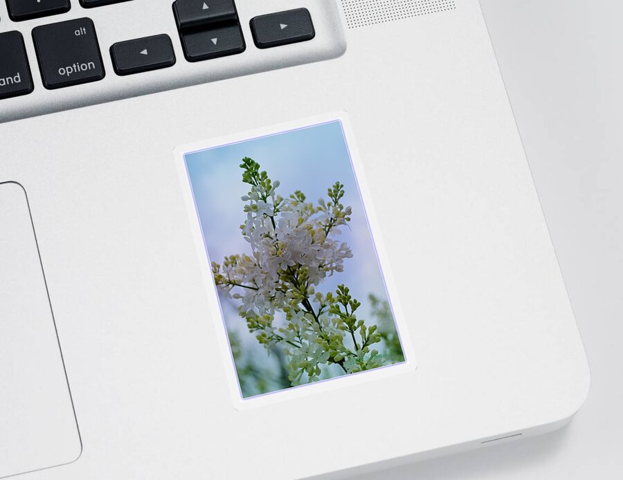 Lilac Sticker featuring the photograph Lilac Flowers by Sonali Gangane