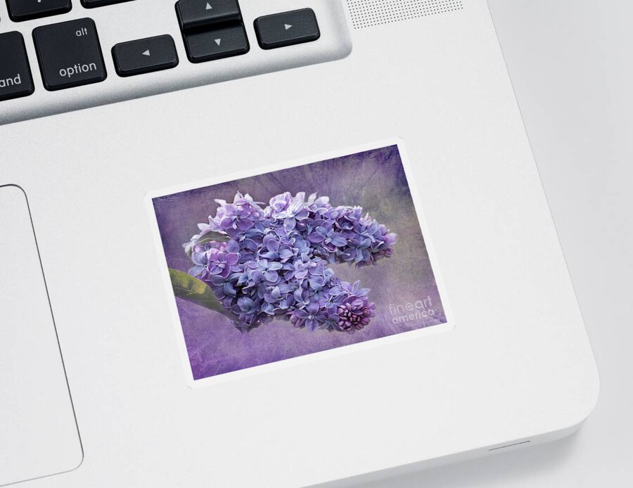 Lilac Sticker featuring the photograph Lilac Spring by Barbara McMahon
