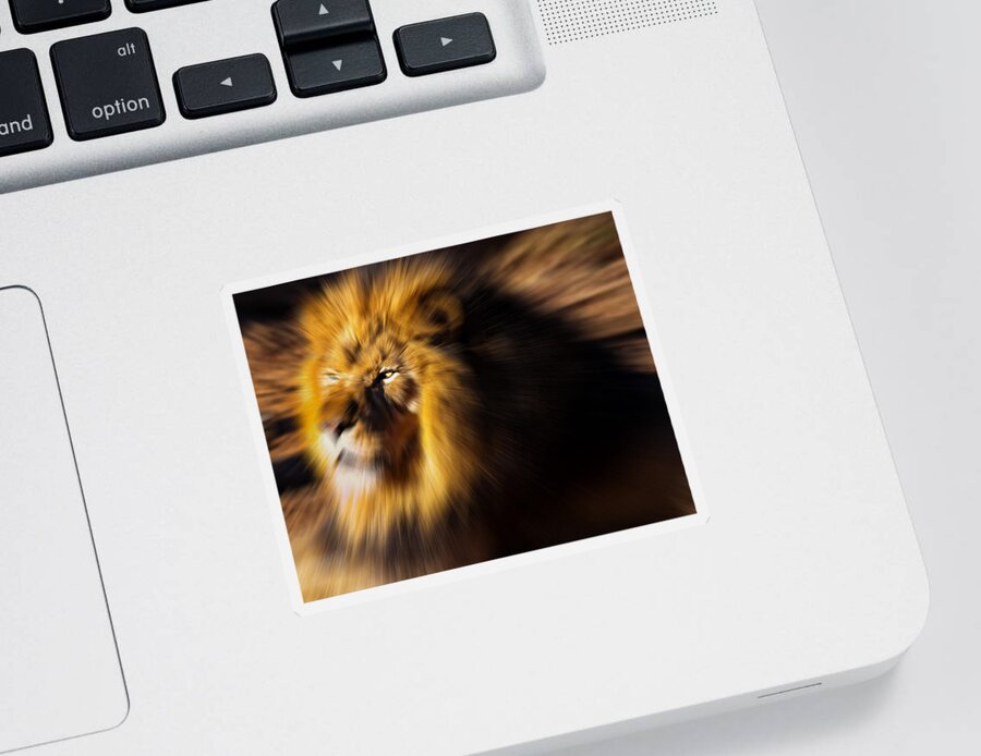 Lion Sticker featuring the digital art Lion The King is Comming by Flees Photos
