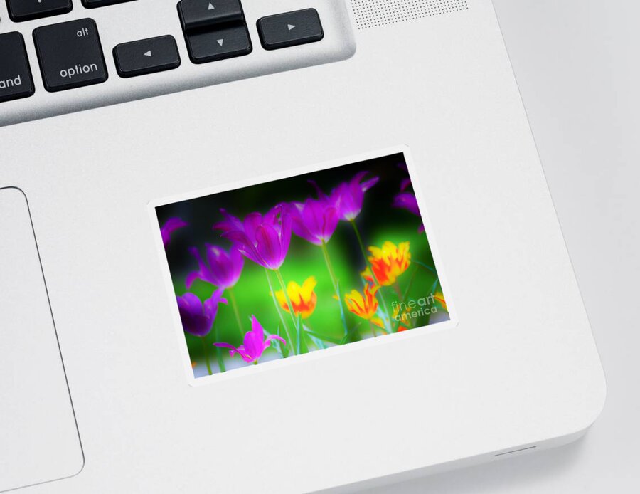 Flowers Sticker featuring the photograph Lite from Below by Merle Grenz