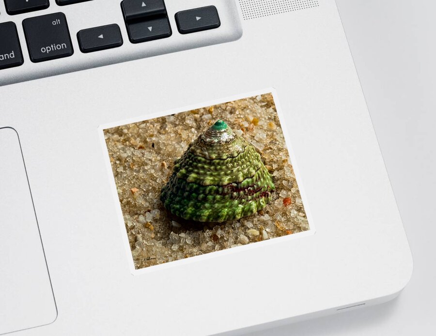 Nature Sticker featuring the photograph Little Green Turret by Christopher Holmes