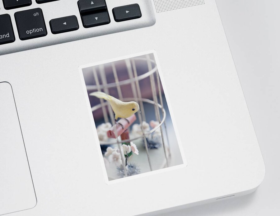 Birdcage Sticker featuring the photograph Little Yellow Bird by Caitlyn Grasso