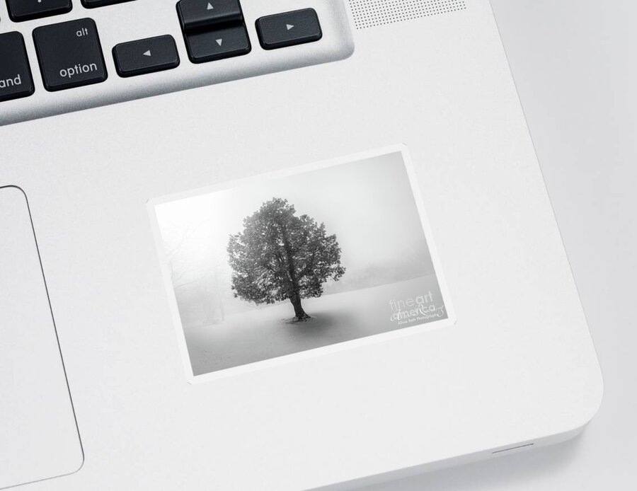 Tree Sticker featuring the photograph Lone Snow Tree on Long Island, New York by Alissa Beth Photography