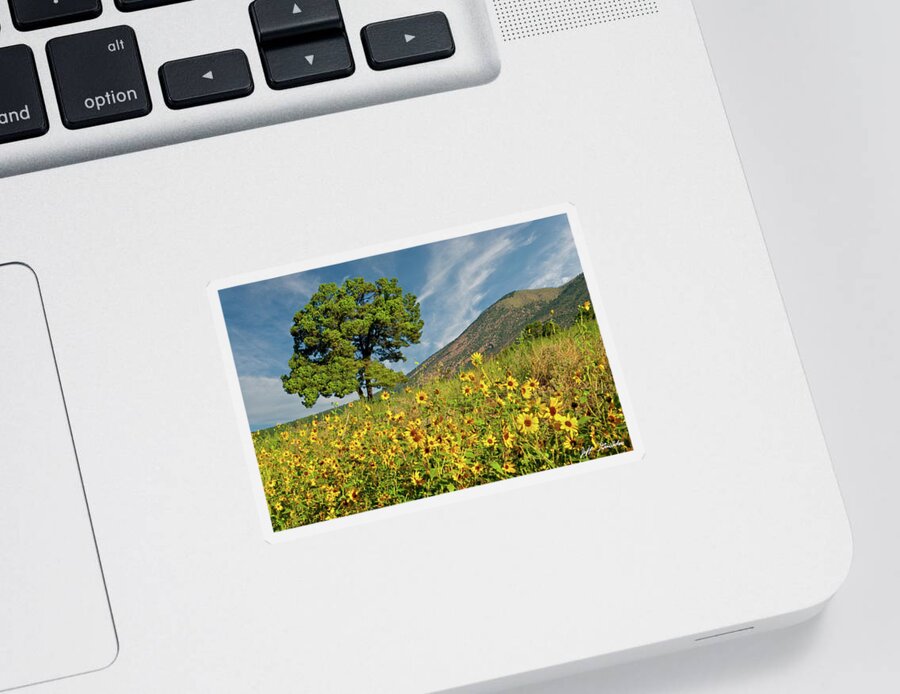 Arizona Sticker featuring the photograph Lone Tree in a Sunflower Field by Jeff Goulden