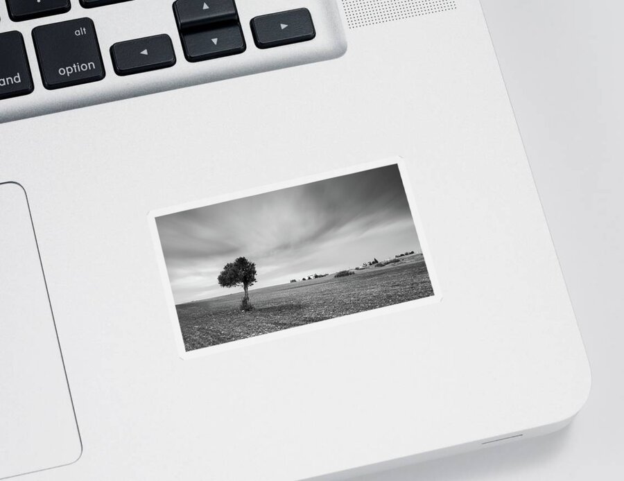 Olive Tree Sticker featuring the photograph Lonely Olive tree by Michalakis Ppalis
