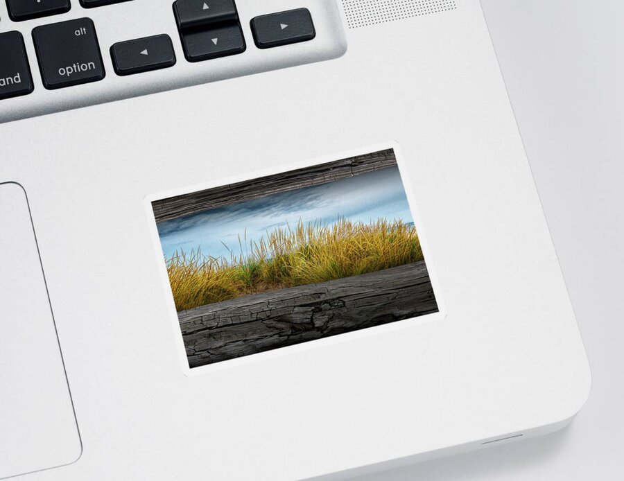 Art Sticker featuring the photograph Looking at Beach Grass between the Fence Rails by Randall Nyhof