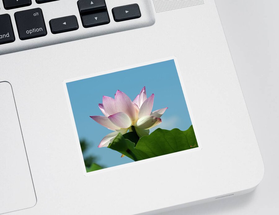 Lotus Sticker featuring the photograph Lotus--Blue Sky i DL0104 by Gerry Gantt