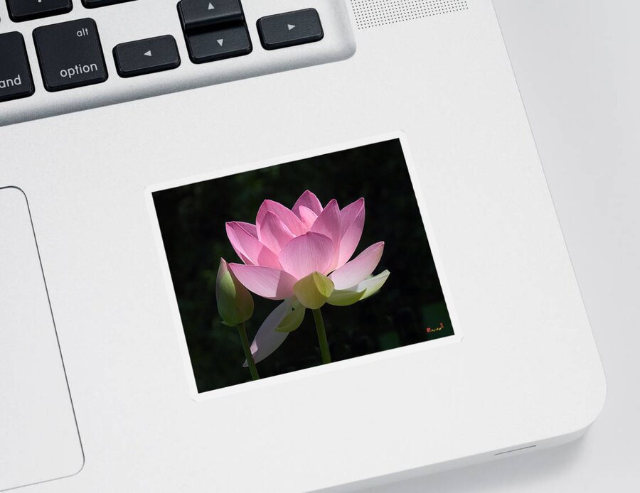 : Sticker featuring the photograph Lotus Bud--Snuggle Bud DL005 by Gerry Gantt