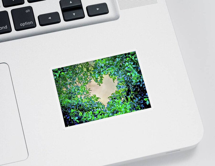 Loveheart Sticker featuring the photograph Love Leaves by Az Jackson