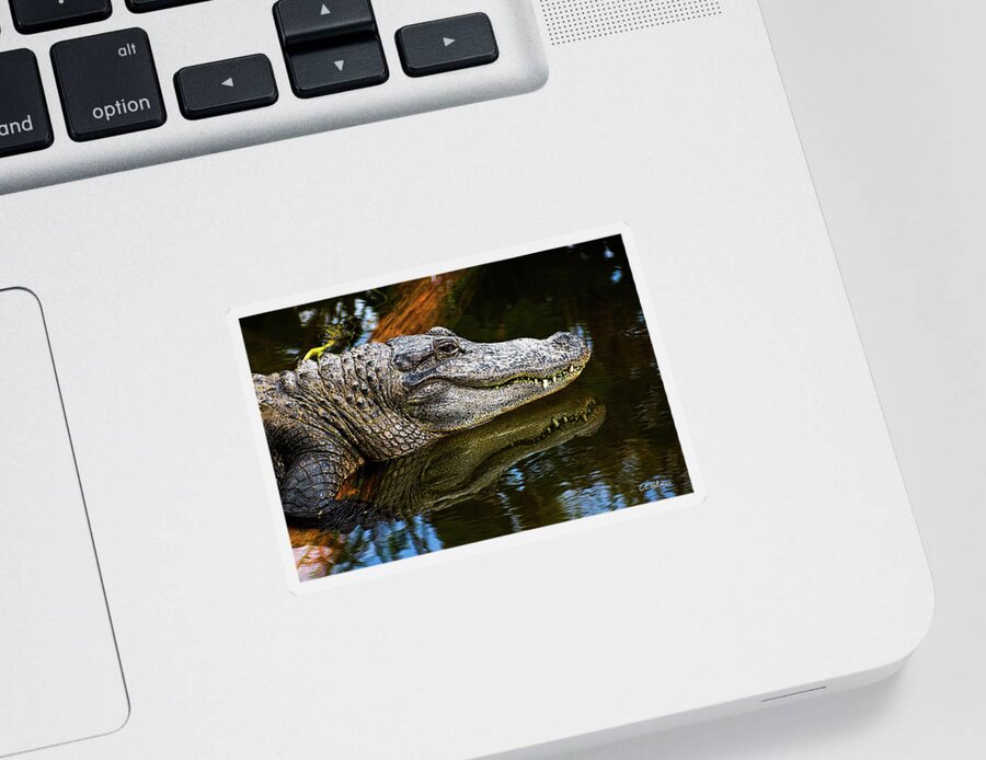 Alligator Sticker featuring the photograph Lump On A Log by Christopher Holmes