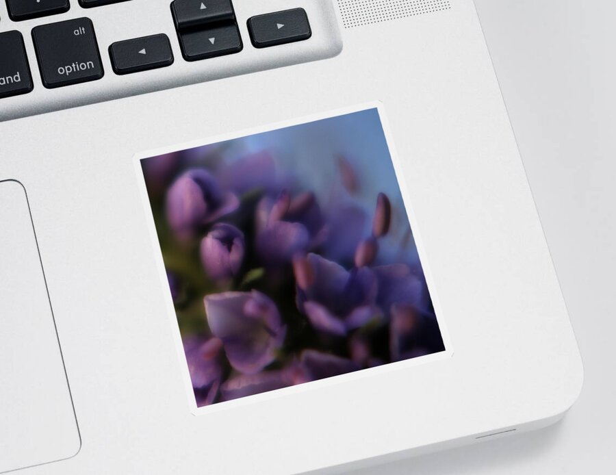 Lilacs Sticker featuring the photograph Luscious Lilac by Bonnie Bruno